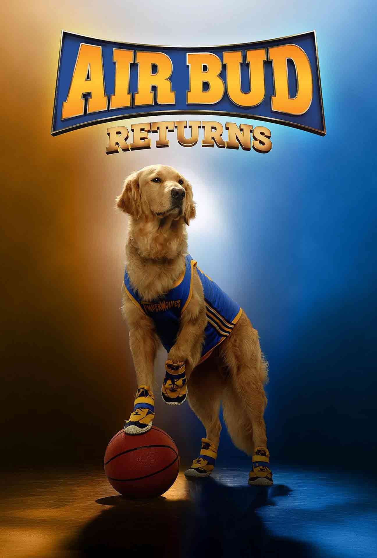 Movie Poster for airbudreturns.